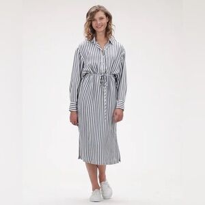 NWT Gap Blue Striped Shirt Dress